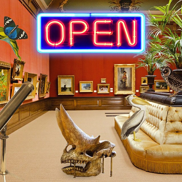 Teylers Museum – Winkel van de Verwondering geopend