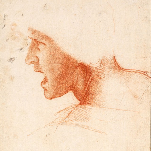 Leonardo da Vinci  komt naar Teylers Museum