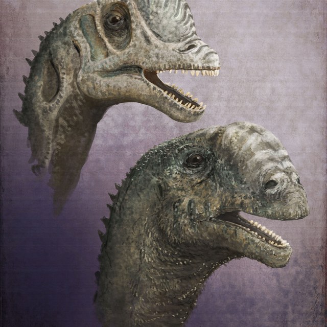 Dinomakers: twee eeuwen verbeelding van de oertijd
